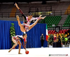 farfalle 0024 sfa 8530 copia